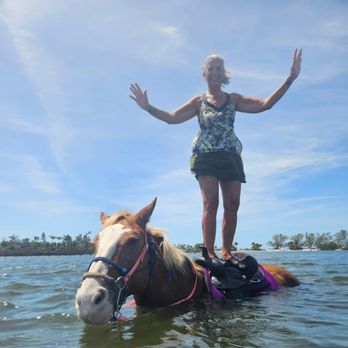 Florida Beach Horses - Beaches Near Me - Bradenton, Florida