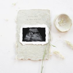 White Stork & Co - We can see baby's heartbeat on an ultrasound as early as 6 weeks! Book our heartbeat session today!