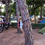 Photo of Camping Malibu Beach