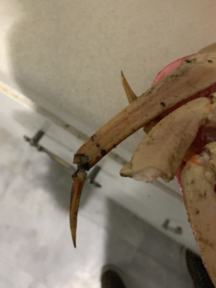 PETE’S PRODUCE LOOMIS Updated September 2024 14 Reviews 1411 W