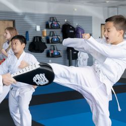 Destiny Martial Arts Academy