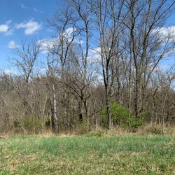 Hampton Ridge Farm - Farm