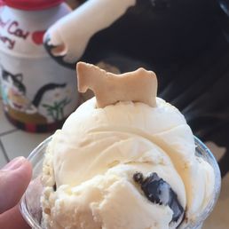 Cookie Dough Ice Cream