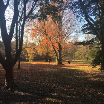 Arnold Arboretum - Parks Near Me - Boston, Massachusetts