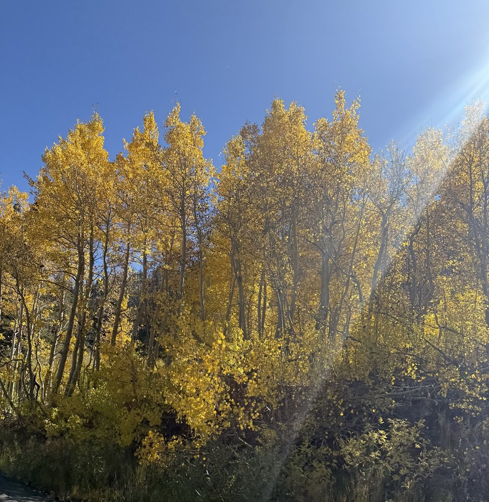 Monkey Rock Trailhead Logo