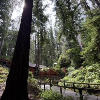 Mystery Spot - Amusement Parks Near Me - Santa Cruz, California Mystery Spot - Amusement Parks Near Me - Santa Cruz, California