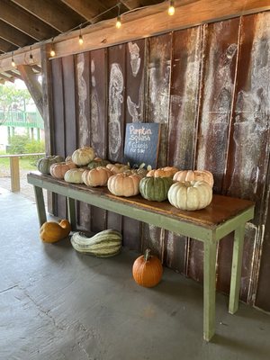 Sky Top Orchard by null