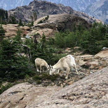 Ingalls Lake - Hiking Near Me