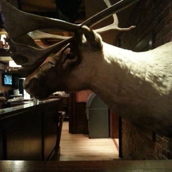 Clerys - Moose watching over the staircase - Bars Near Me - Boston, Massachusetts Clerys - Moose watching over the staircase - Bars Near Me - Boston, Massachusetts
