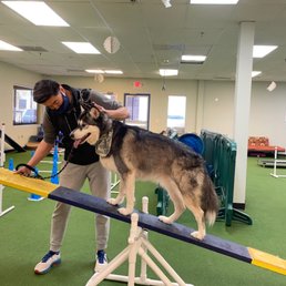 Agility Room