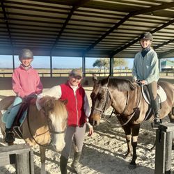 McNally Show Horses - Fun lessons with great ponies