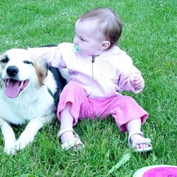 Beyond The Leash - Absolute faith in your dogs obedience