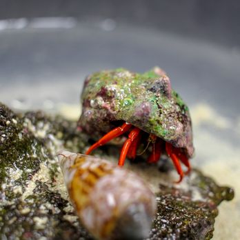 Nature Postings - Science School Programs - Rafting/Kayaking Near Me - Cutler Bay, Florida