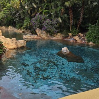 Discovery Cove - View of the fresh water oasis - Amusement Parks Near Me - Orlando, Florida