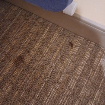 Hilton Garden Inn Fredericksburg - Stains on carpet. - Hotels Near Me - Fredericksburg, Virginia