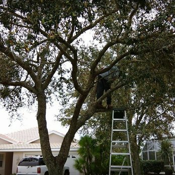 Mike Lenart's Tree Service - Tree Services Near Me - Punta Gorda , Florida Mike Lenart's Tree Service - Tree Services Near Me - Punta Gorda , Florida