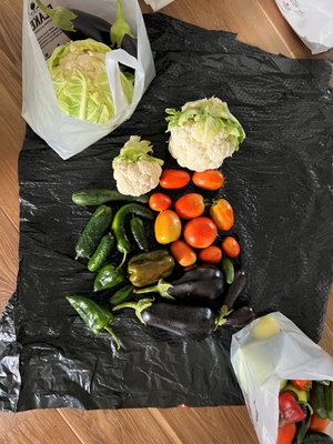 Blake's Orchard & Cider Mill by null Blake's Orchard & Cider Mill by null