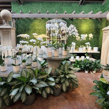 Roger's Gardens - Nurseries & Gardening Near Me - Corona Del Mar, California