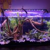Aquatic Design Aquariums gift card