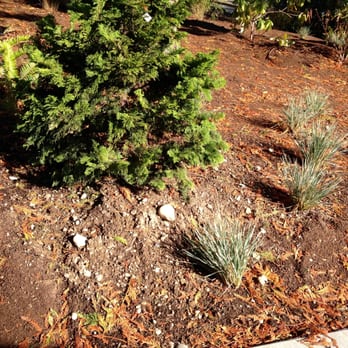 Saylor Landscaping - Unfinished, thin cover layer washing away. - Landscaping Near Me - Maple Valley, Washington Saylor Landscaping - Unfinished, thin cover layer washing away. - Landscaping Near Me - Maple Valley, Washington