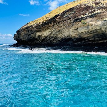 Maui Reef Adventures - Look how blue the water is - Snorkeling Near Me - Ma'alaea, Hawaii Maui Reef Adventures - Look how blue the water is - Snorkeling Near Me - Ma'alaea, Hawaii