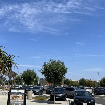 SusieCakes - Parking - Bakeries Near Me - Long Beach, California