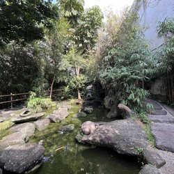 Jardim Oriental - Garden
