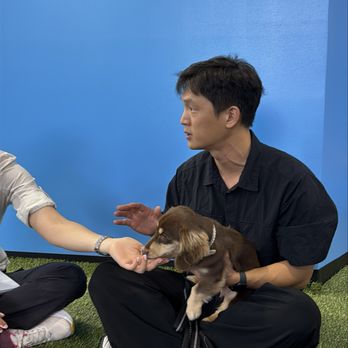 Pawsible - Puppy Training Session - Pet Training Near Me - Los Angeles, California Pawsible - Puppy Training Session - Pet Training Near Me - Los Angeles, California