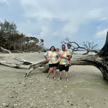 Botany Bay Plantation - Driftwood Beach - Parks Near Me - Edisto Island, South Carolina