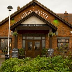 Gypsy Moth
