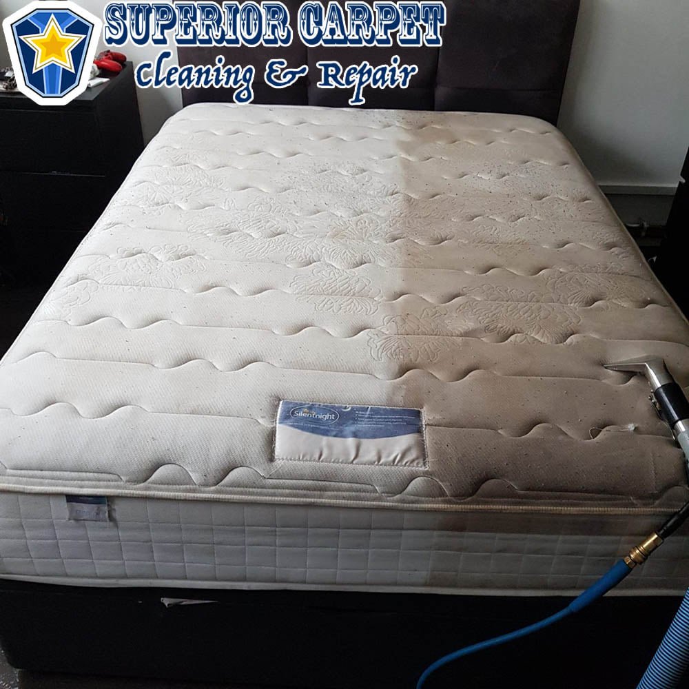 SUPERIOR CARPET CLEANING AND REPAIR - Greenville, South Carolina