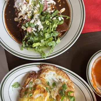 Tacuba Hell's Kitchen - Enchiladas De Pollo En Mole - Mexican Near Me - New York, New York