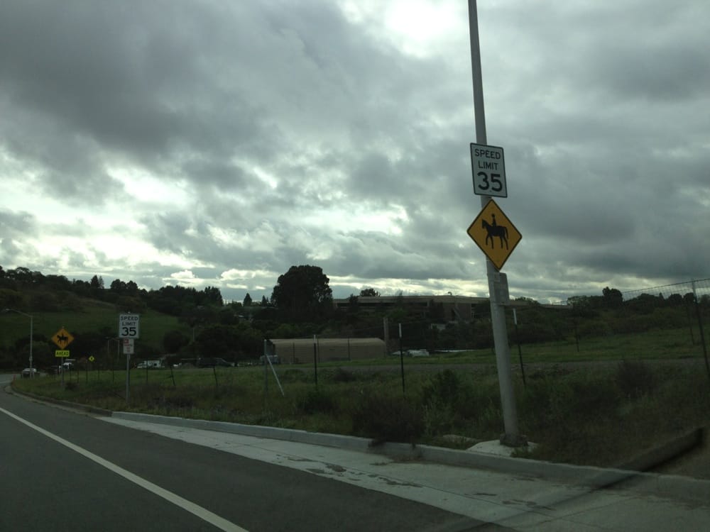 Page Mill Pastures - equestrian in Palo Alto, CA