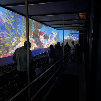 Zoocade - Arcades Near Me - Austin, Texas Zoocade - Arcades Near Me - Austin, Texas