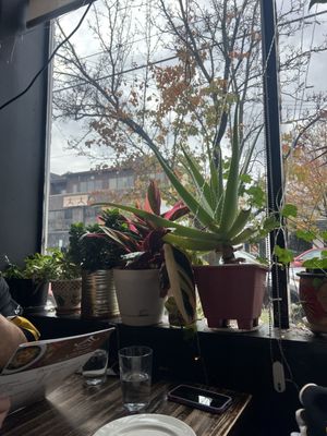 Thai Cottage by null