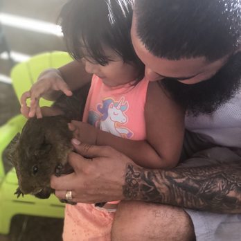 ​Happi Farm - Community Service/Non-Profit Near Me - Davie, Florida