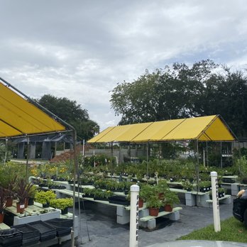 Big Value Garden Center - Outdoor plants - Nurseries & Gardening Near Me - Daytona Beach, Florida