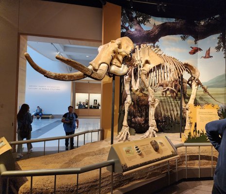 Sam Noble Oklahoma Museum of Natural History by null