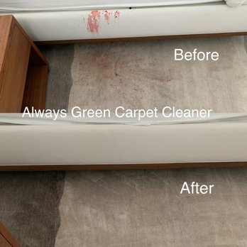 Always Green Carpet Cleaner of Brooklyn - Bed Frame & Rug Cleaning.      Vomit Stain - Carpet Cleaning Near Me - Brooklyn, New York