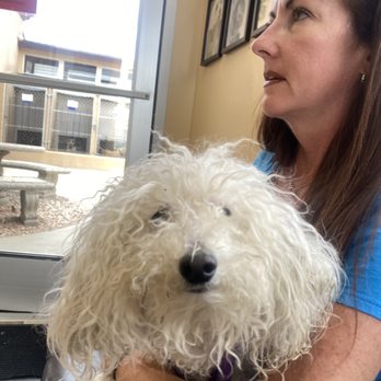 Orange County Humane Society - Muffin part 3 - Animal Shelters Near Me - Huntington Beach, California