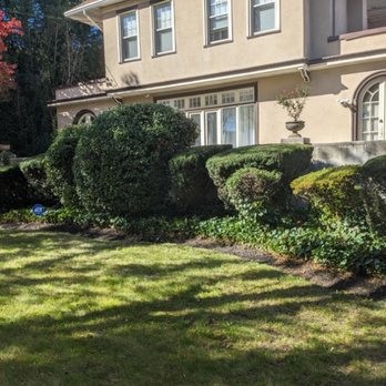 García landscaping - Trimming - Tree Services Near Me García landscaping - Trimming - Tree Services Near Me