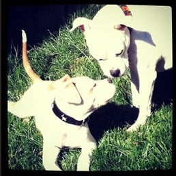 Clyde & Squeeks Clyde & Squeeks