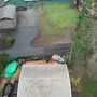 Photo of Curb Appeal Cleaning Services