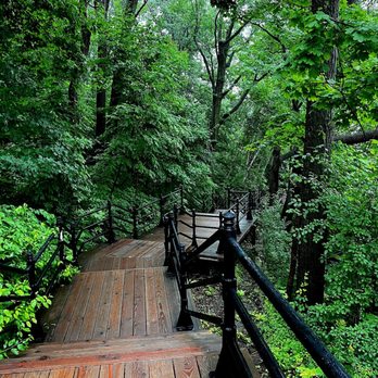 Parc du Mont-Royal - The trail - Parks Near Me - Montreal, Quebec