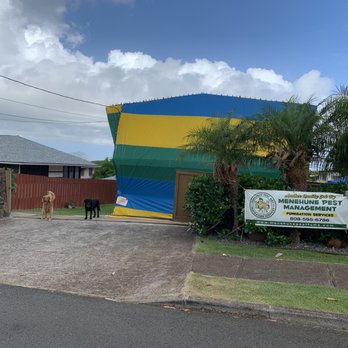Menehune Pest Management - Tented house. Safe and happy dogs. - Pest Control Near Me - Honolulu, Hawaii Menehune Pest Management - Tented house. Safe and happy dogs. - Pest Control Near Me - Honolulu, Hawaii