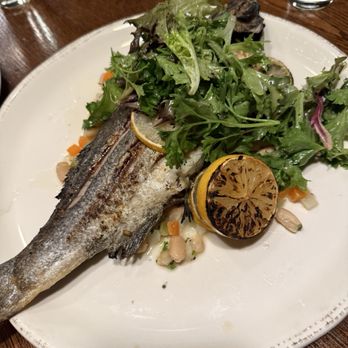 Lirica Restaurant - Bronzino fish - Latin American Near Me - Chicago, Illinois Lirica Restaurant - Bronzino fish - Latin American Near Me - Chicago, Illinois
