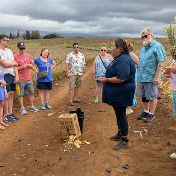 Maui Pineapple Tour - Tours Near Me - Makawao, Hawaii