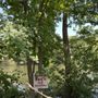 Photo of Forest City Park