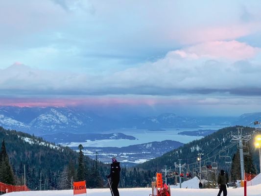 Schweitzer by null