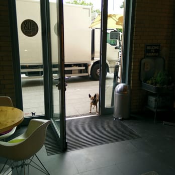 Dat Backhus - Heini darf nicht in die Bäckerei und wartet brav vor der Tür :) - Bakeries Near Me - Hamburg, HH
